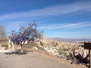 Blue eyed tree overlooking valley of pigeons