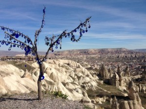 a second blue eyed tree