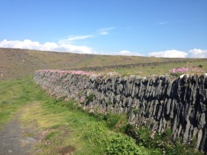 Rock wall with wildflowers