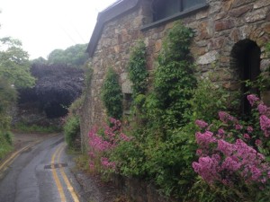 Entering Cwm yr eglwys (cureglis)