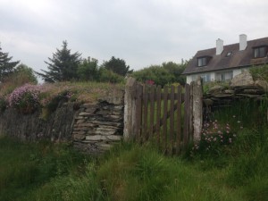 garden fence