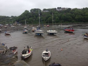 lower fishguard harbor