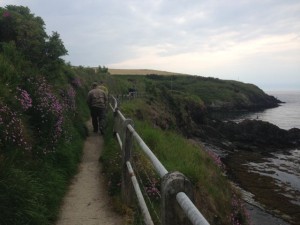 walking path with wildflowers