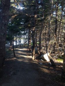 the path at Black Duck Cove